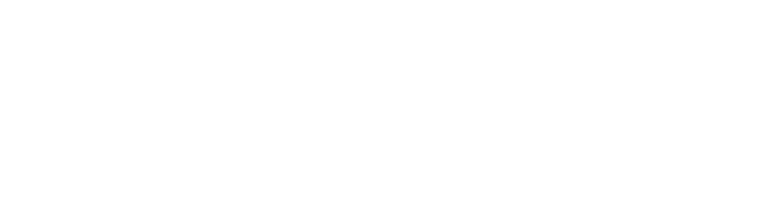 SPEEDFRAME